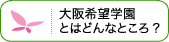 スクールライフ